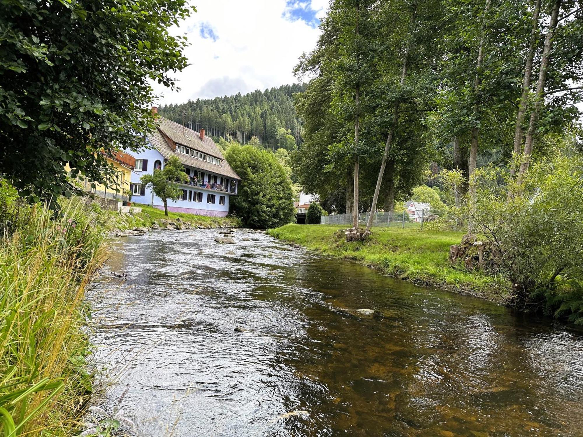 Ferienwohnung Kinzig-Chalet - Balkon - Fuer Kinder - Mit Bettwaesche & Handtuecher Schenkenzell Экстерьер фото